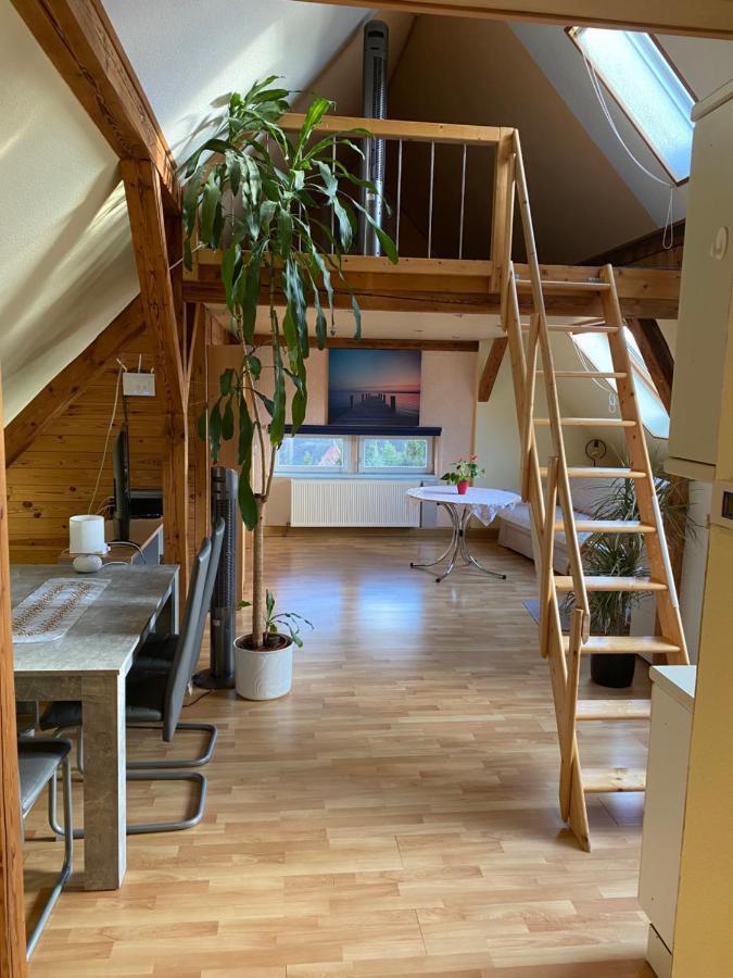 Helles Und Charmantes Loft Mit Herrlichem Blick Dresden Ngoại thất bức ảnh