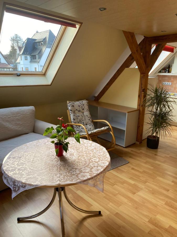 Helles Und Charmantes Loft Mit Herrlichem Blick Dresden Ngoại thất bức ảnh