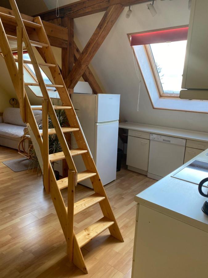 Helles Und Charmantes Loft Mit Herrlichem Blick Dresden Ngoại thất bức ảnh