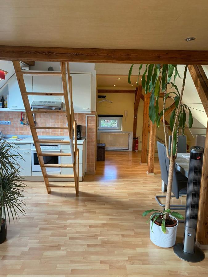 Helles Und Charmantes Loft Mit Herrlichem Blick Dresden Ngoại thất bức ảnh